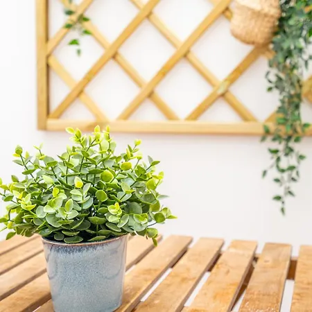 Maritim Loft Apartamento